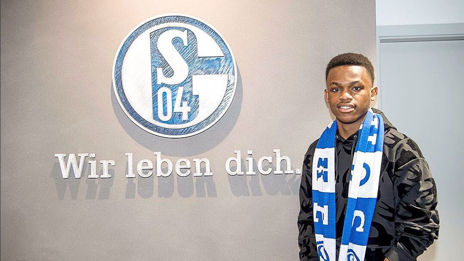 数据上的亮 数据上的亮